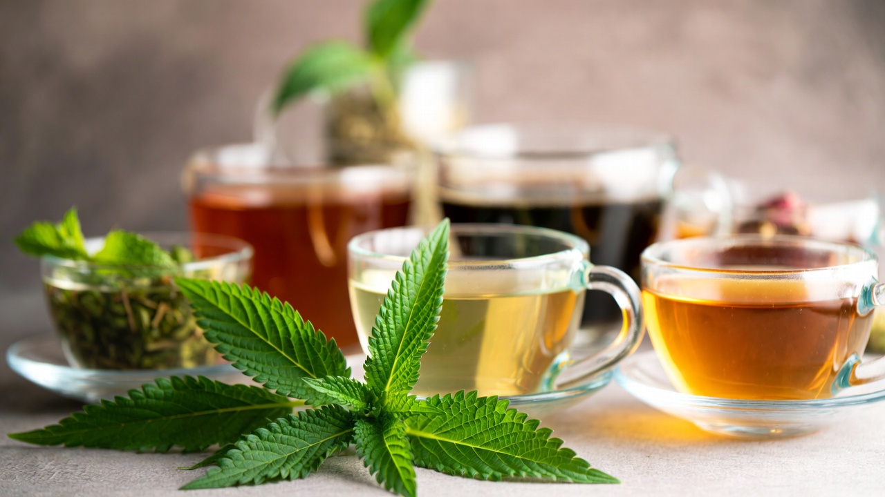 Prirodni napitak za regulaciju težine